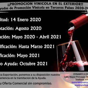 ayudas-2020-21